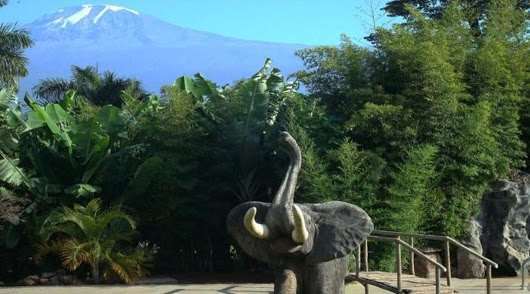 Kilemakyaro Mountain Lodge Моші Екстер'єр фото