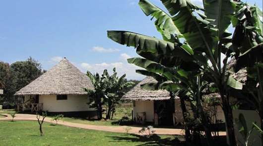 Kilemakyaro Mountain Lodge Моші Екстер'єр фото