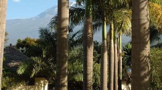 Kilemakyaro Mountain Lodge Моші Екстер'єр фото